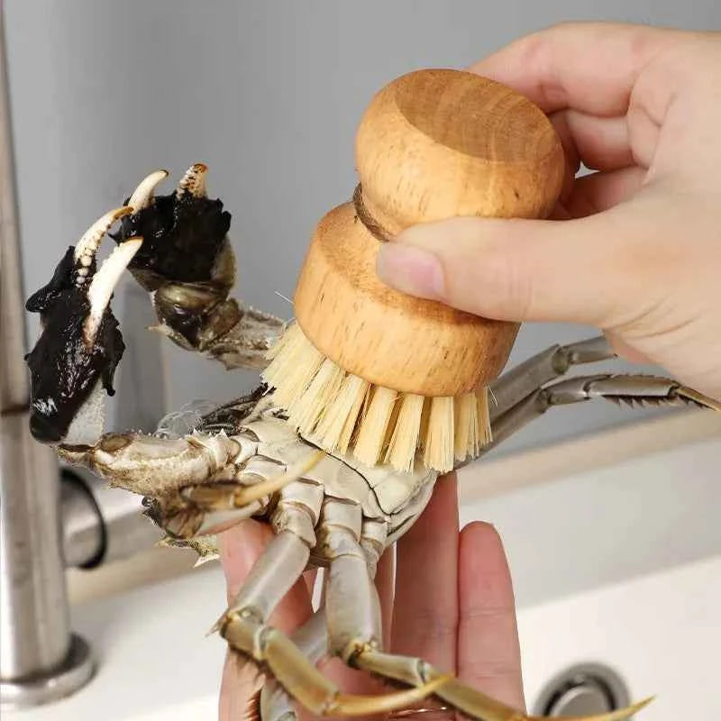 Brosse de nettoyage écologique en bambou utilisée pour nettoyer un crabe dans un évier