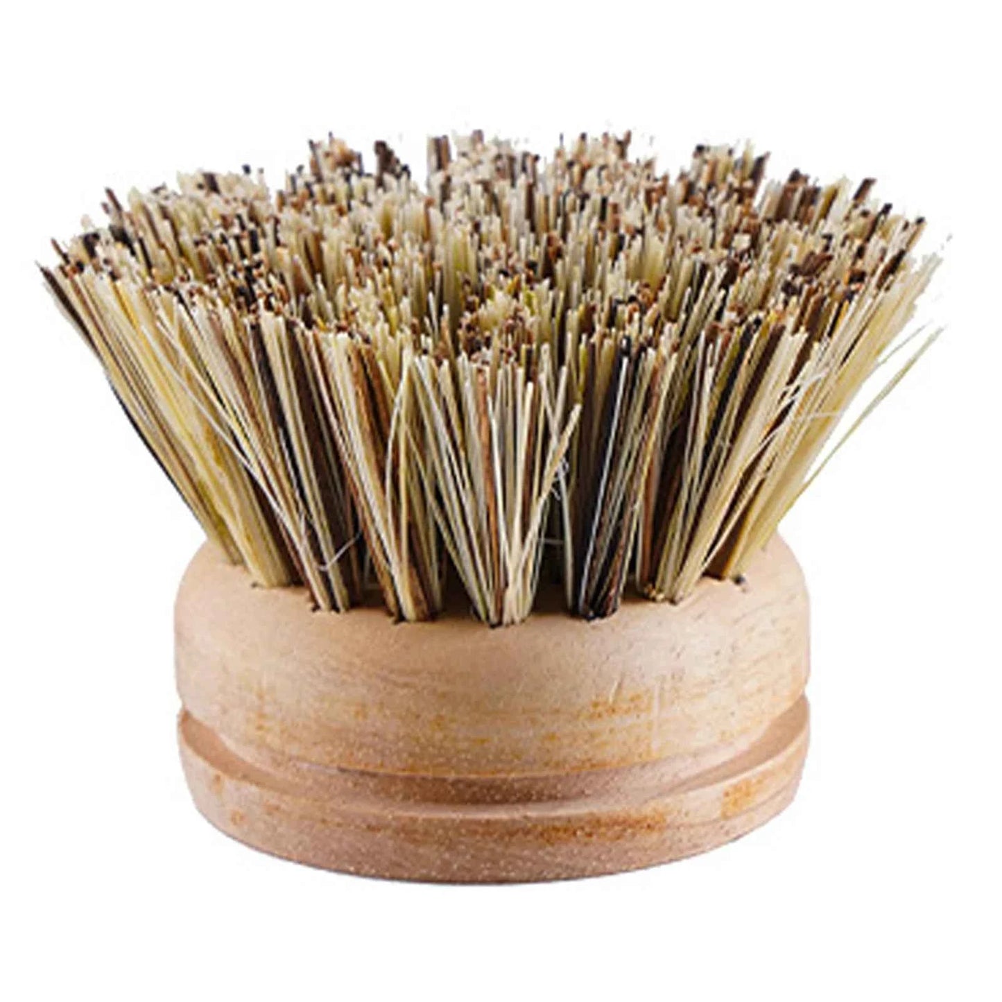 Brosse de nettoyage écologique en bois avec poils naturels pour un nettoyage durable et efficace