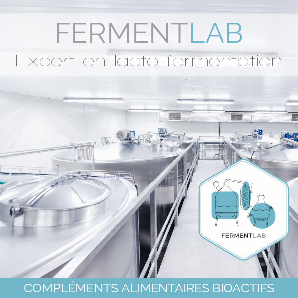 Complexe Antioxydant Fermenté Gélules