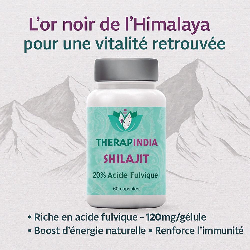 Shilajit de l'Himalaya 20% Acide Fulvique (120 mg/gélule) : Énergie & Vitalité - Therapindia