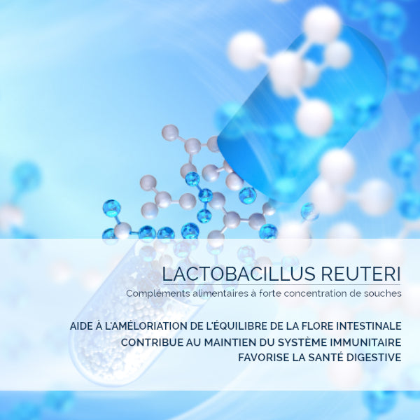 Lactobacillus Reuteri 15 Milliards UFC - Flore Intestinale