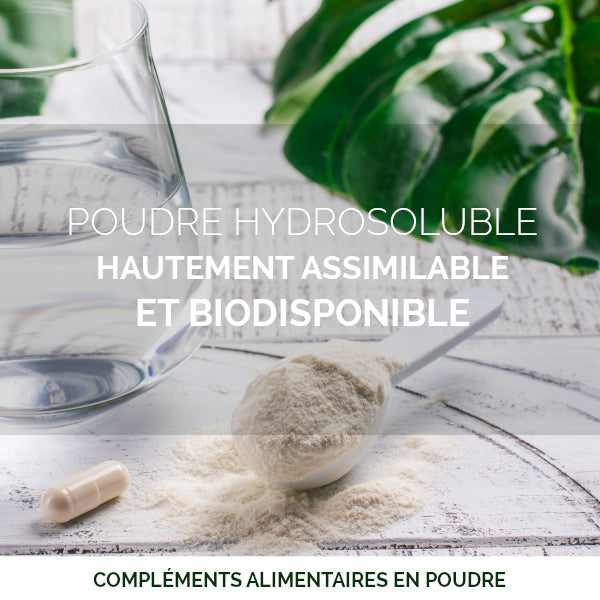 Collagène Pur Hydrolysé + Vitamine C en Poudre : Peau & Articulations