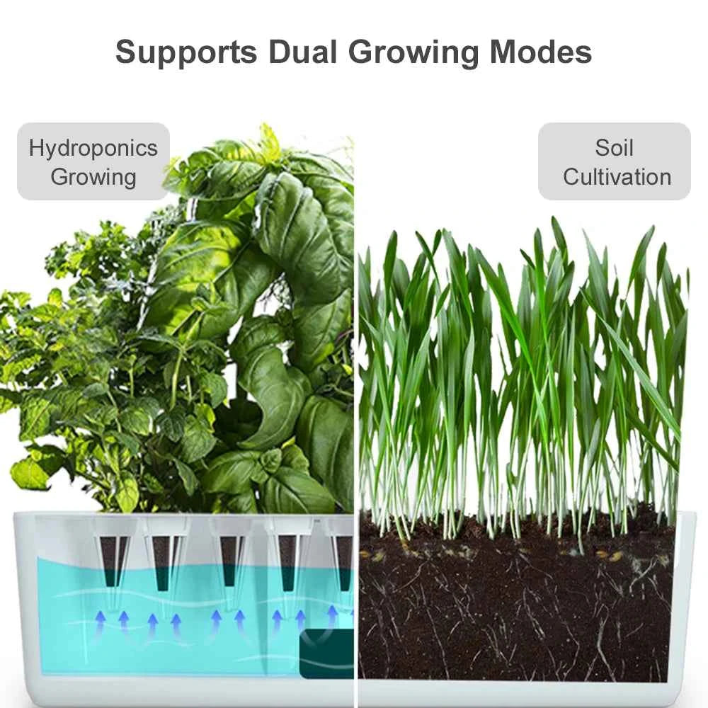 Micro potager intérieur avec modes de culture hydroponiques et en sol pour faire pousser des plantes à la maison