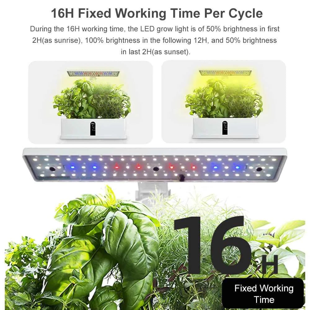 Micro potager intérieur avec éclairage LED à temps fixe de 16 heures pour une croissance optimale des plantes