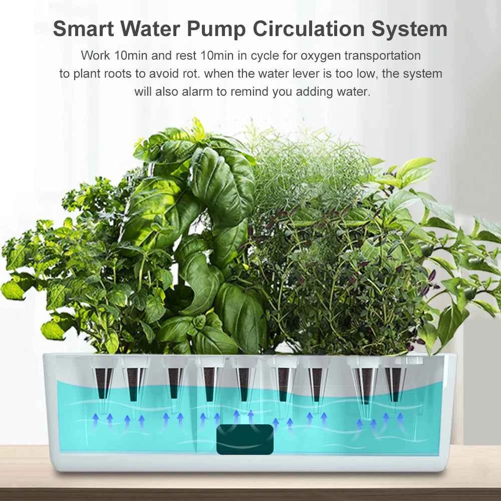 Micro potager intérieur avec système de circulation d'eau intelligent pour cultiver des plantes aromatiques