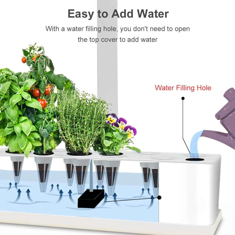 Micro potager intérieur avec un trou de remplissage d'eau pour un arrosage facile des plantes.