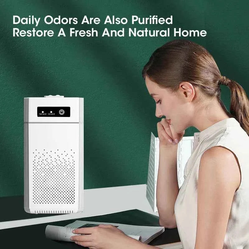 Purificateur d'air à ions négatifs pour éliminer les odeurs et rafraîchir votre maison