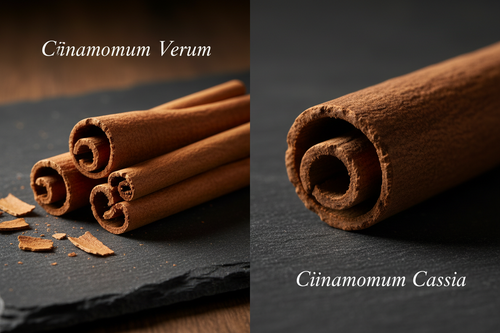 Comparaison visuelle entre la cannelle de Ceylan multicouches et la cannelle Cassia épaisse.