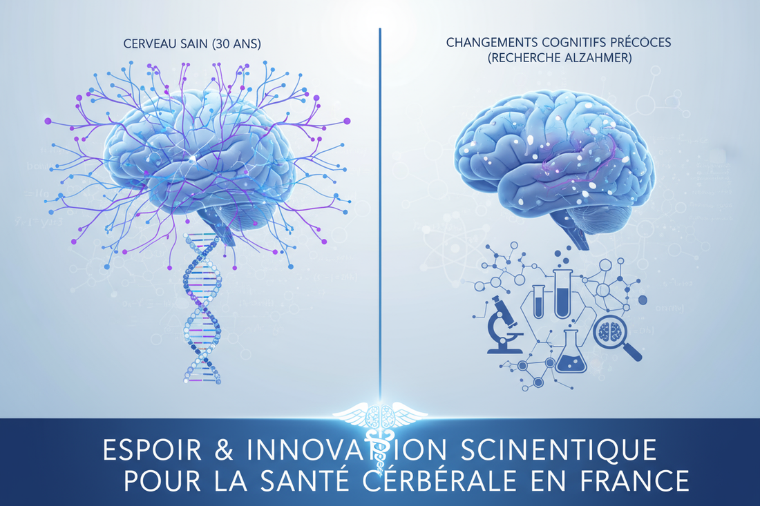 Un cerveau à l'intérieur duquel des racines sombres poussent, symbolisant le développement silencieux et précoce de la maladie d'Alzheimer et de l autre coté un cerveau protégé par des symboles representant les decouvertes scientifiques