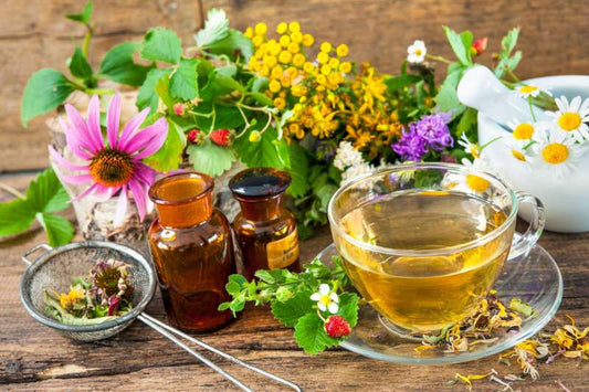 photographie d'un ensemble de remèdes naturels utilisés en naturopathie