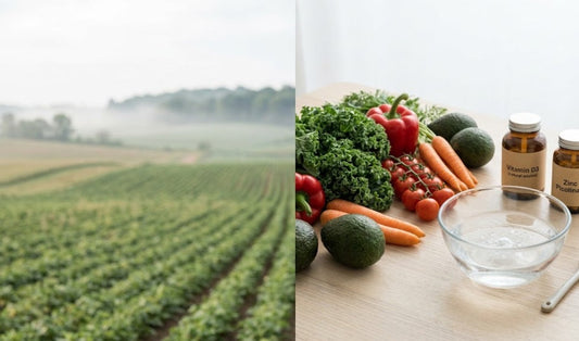 Lien entre les pesticides agricoles et la santé humaine : légumes frais trempés dans du bicarbonate pour éliminer les fongicides.