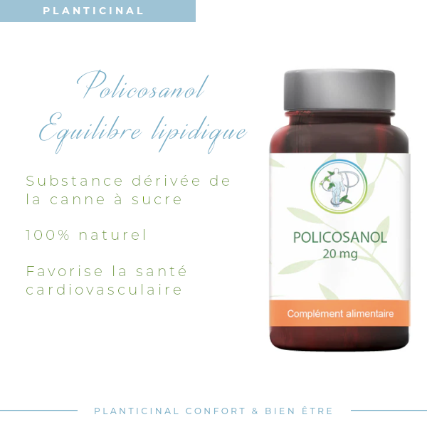 Policosanol Naturel – Contribue à l’Équilibre Lipidique