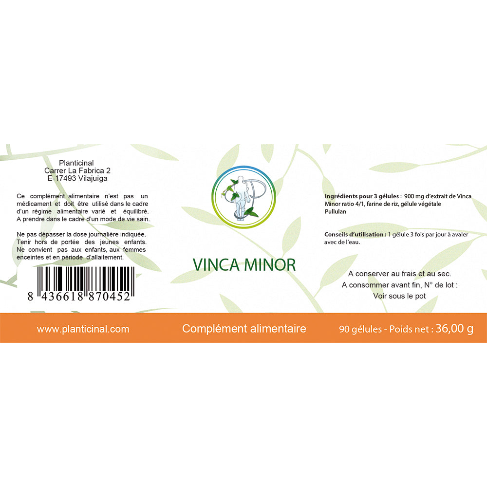 Vinca Minor ratio 4/1 Pack Promo x 3