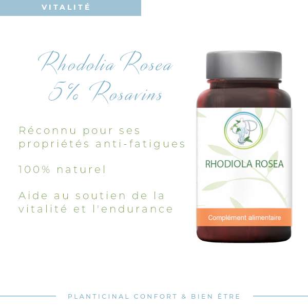 Rhodiola Rosea 5% Rosavins – Adaptogène pour l’Équilibre et la Vitalité