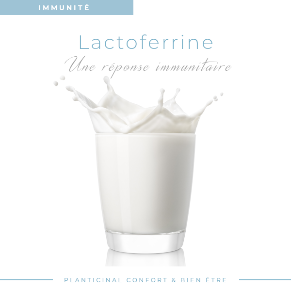 🛡️ Lactoferrine 100 mg - Immunité, Vitalité & Équilibre du Fer (60 Gélules)