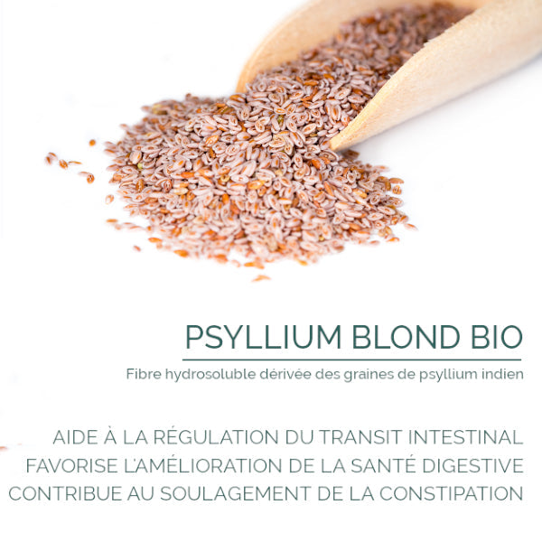 Psyllium Blond Bio :  Digestion & Transit