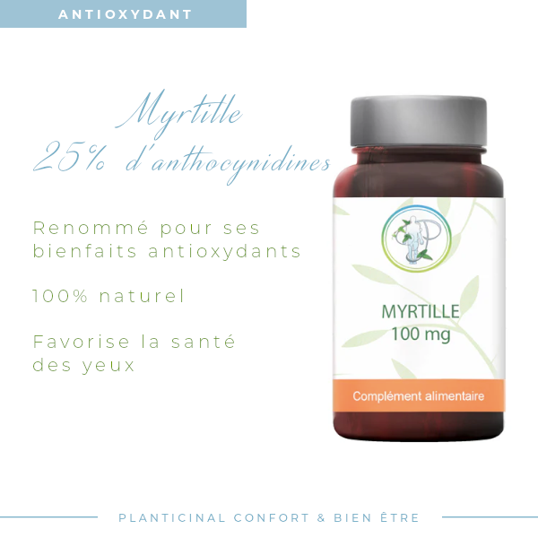 Myrtille à 25 % d'anthocyanidines Pack Promo x 3