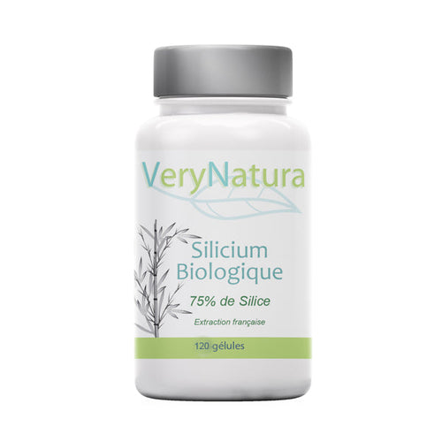 Silicium Bio (75% de Silice) : Os & Articulations