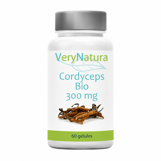 Cordyceps sinensis bio Extrait titré 30 % polysaccharides