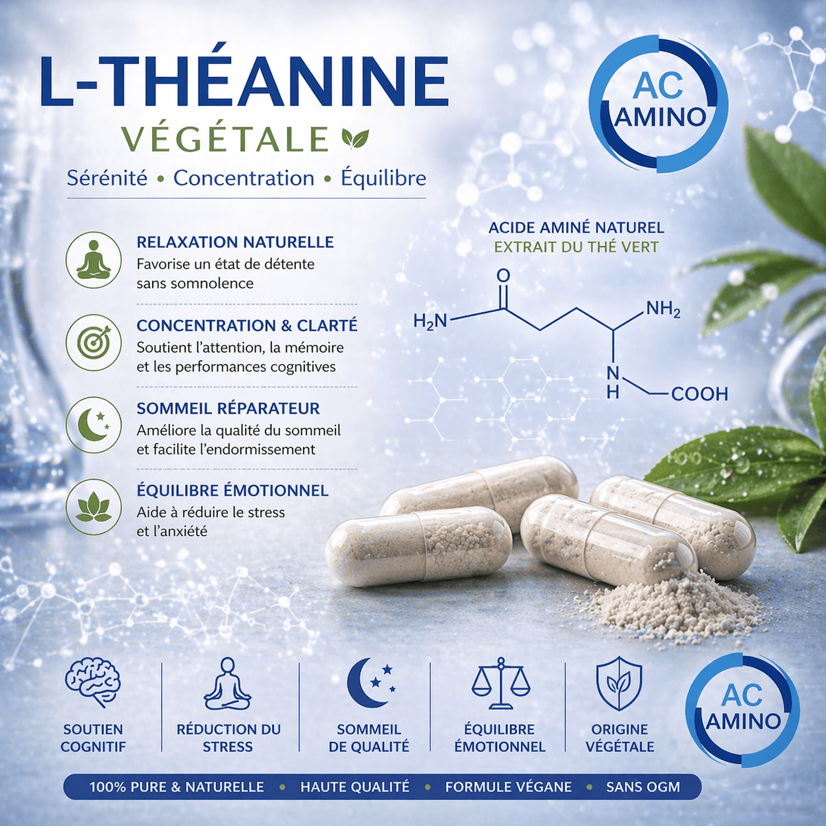 L-Théanine Végétale 250 mg – Extrait de Camellia sinensis – 90 gélules