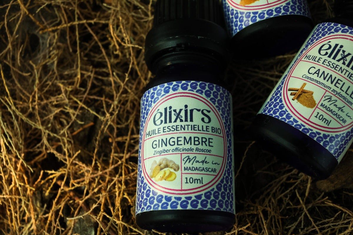 Gingembre | Zingiber officinale-ÉLIXIRS de CLARA™️ - Aromathérapie Bio