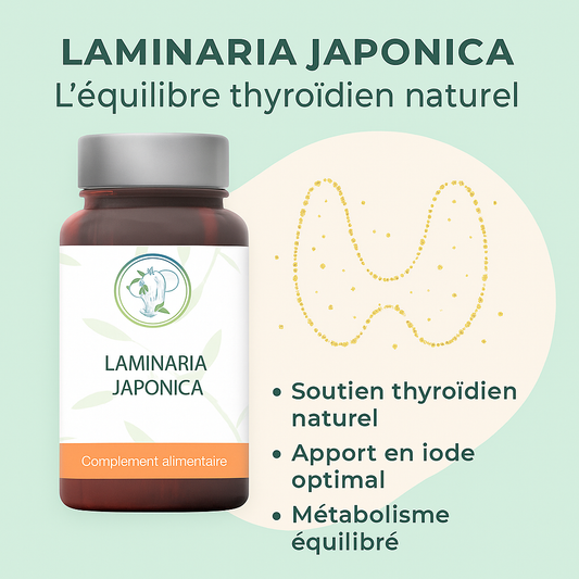 Laminaria Japonica - Source naturelle d'iode marin pour détox et équilibre thyroïdien
