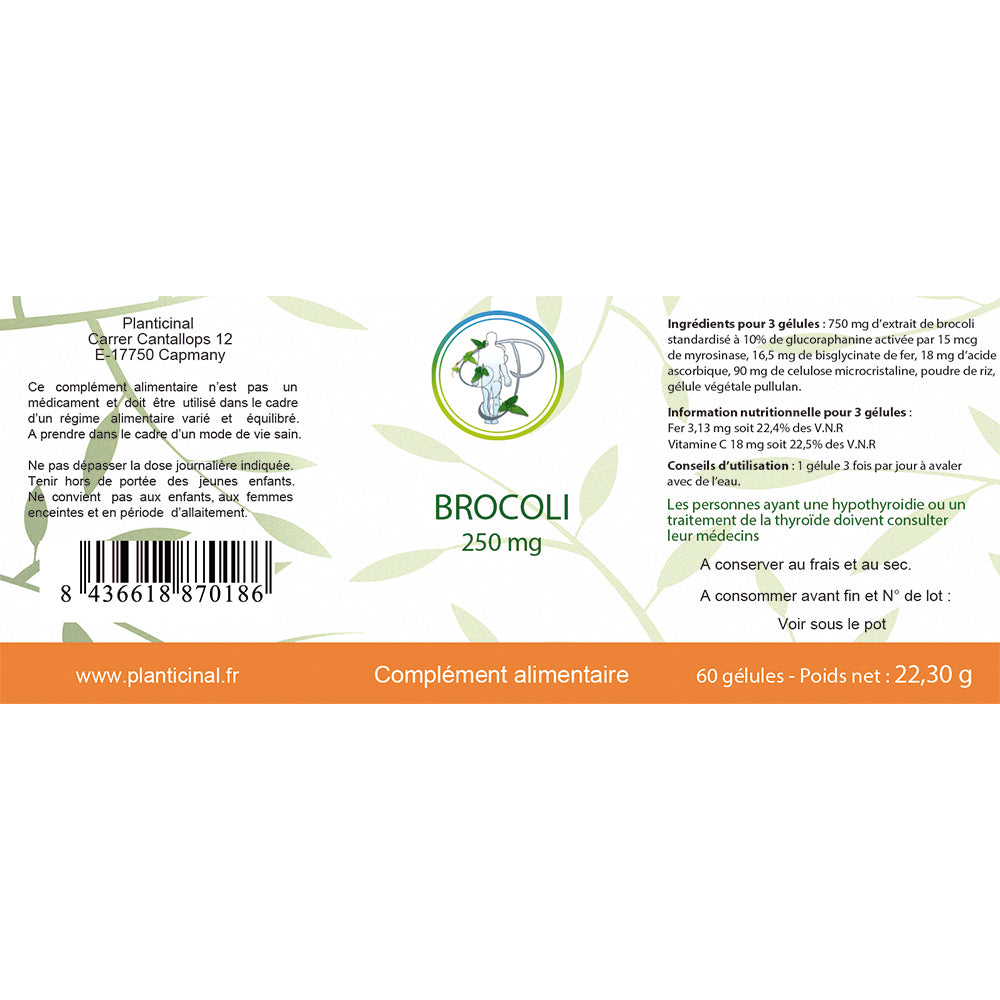 Brocoli à 10% de Glucoraphanine activée Pack Promo x 3