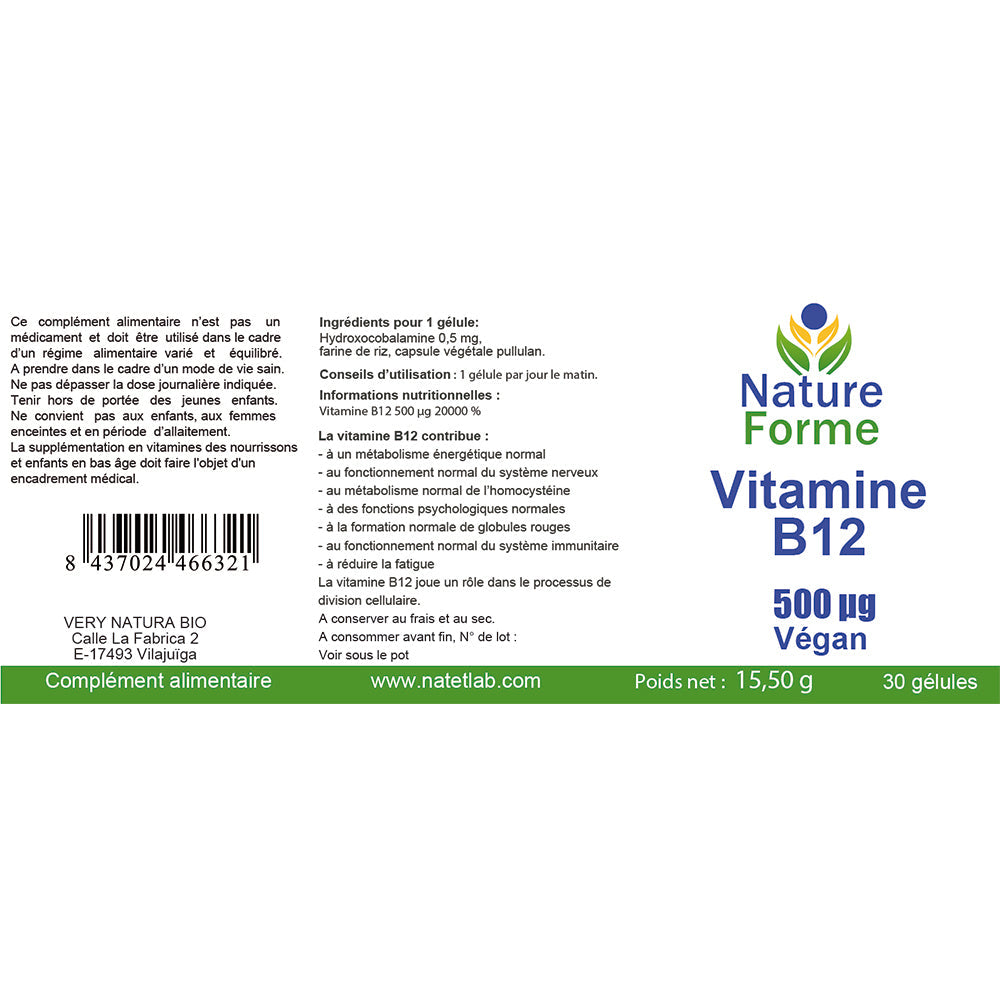 Vitamine B12 : Immunité & Système nerveux