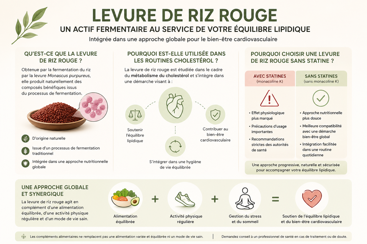 Levure de Riz Rouge Fermenté Sans Statine : Cholestérol