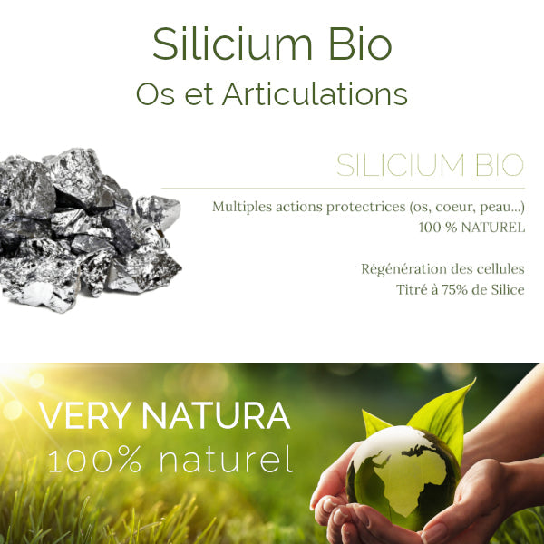 Silicium Bio (75% de Silice) : Os & Articulations