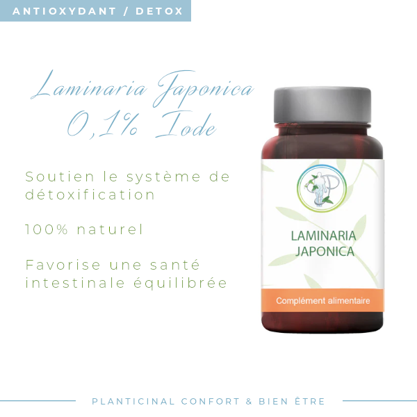Laminaria Japonica - Source naturelle d'iode marin pour détox et équilibre thyroïdien