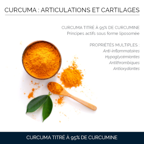 Curcuma 95% Bambou 70 % Liposomal : Articulations & Cartilages