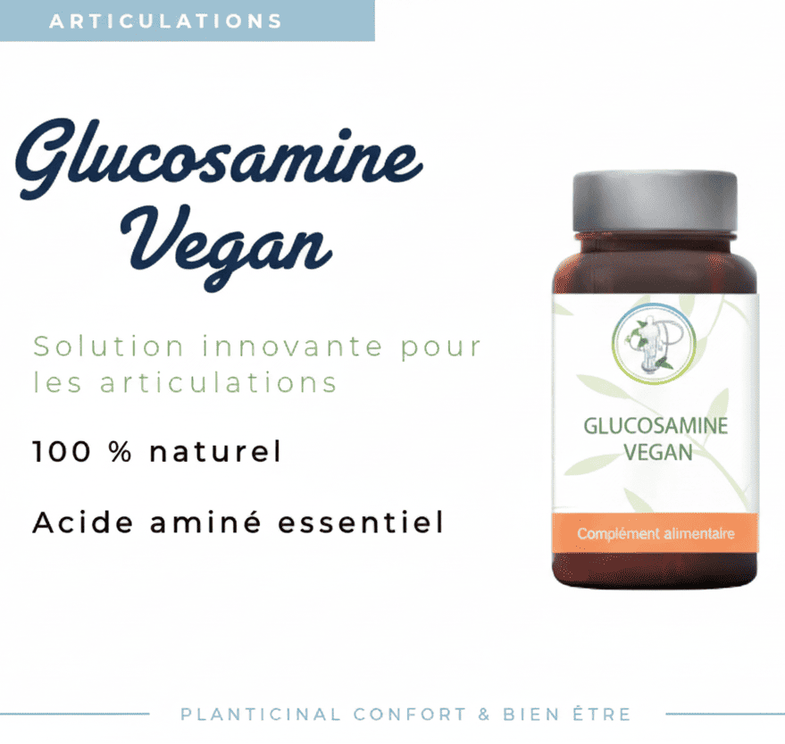 Glucosamine Sulfate Végane Pack Promo x3 – 3 pots de 90 gélules