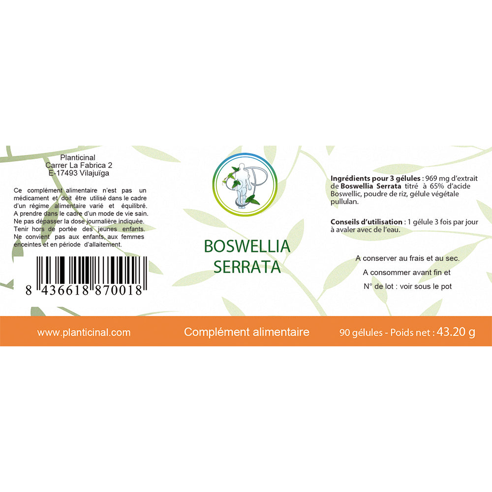 Boswellia Serrata 65 % d'acide boswellique - Pack Promo x 3 (3 mois de cure)