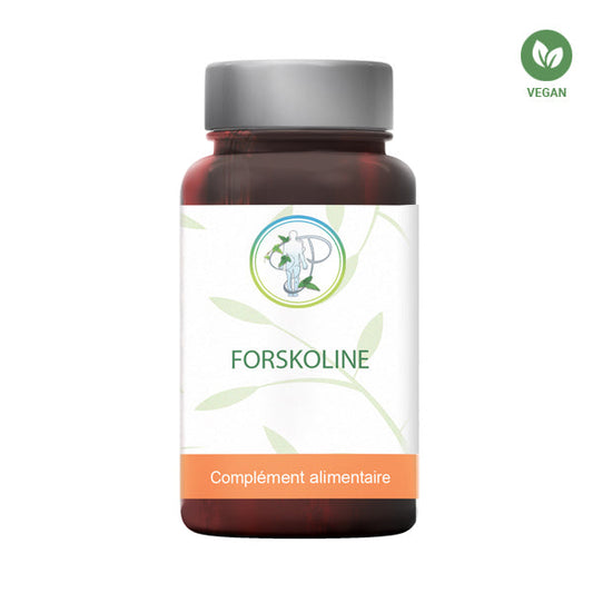 Coleus Forskohlii à 10% de Forskoline : Minceur & Detox