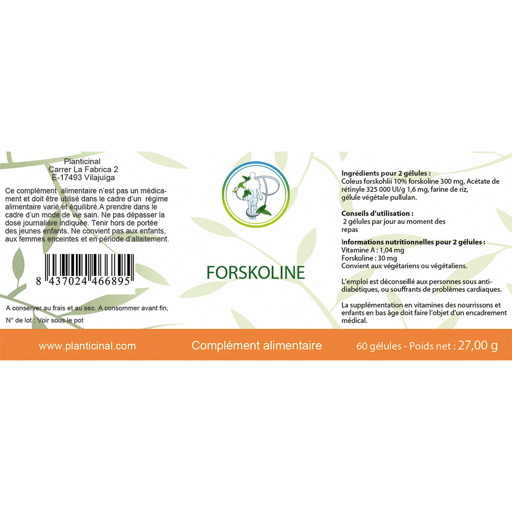 Coleus Forskohlii à 10% de Forskoline : Minceur & Detox