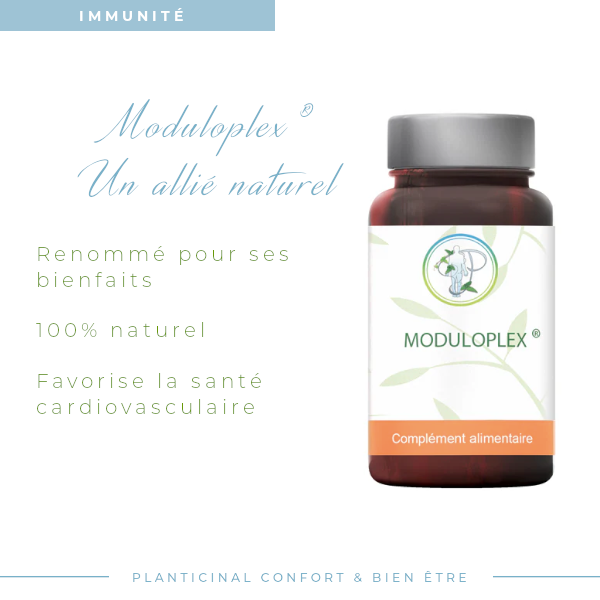 Moduloplex ®