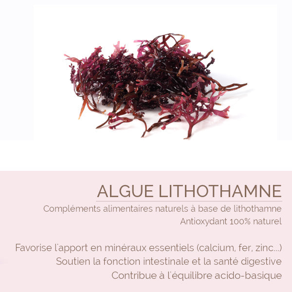 Lithothamne pur – Votre apport de calcium naturel pour des Os et Articulations en Santé