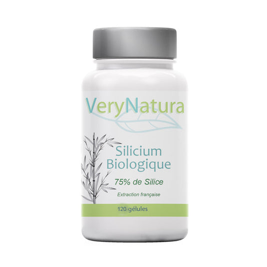 Silicium Bio (75% de Silice) : Os & Articulations