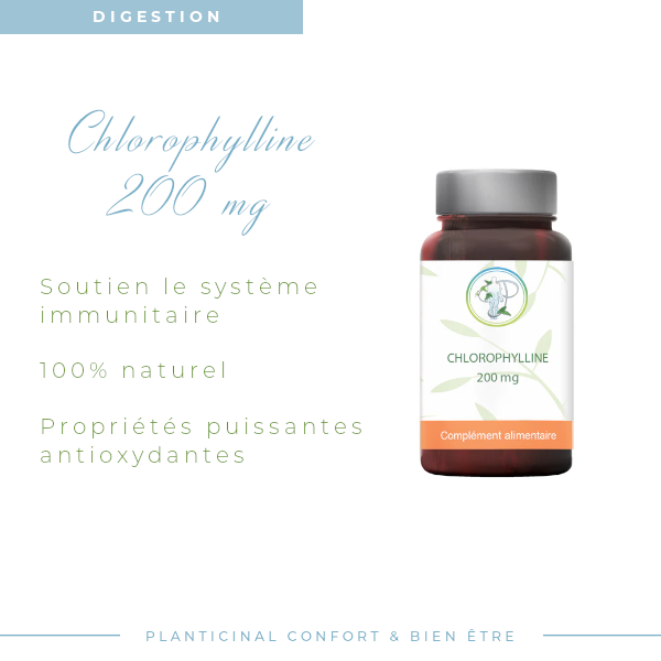Chlorophylline Naturelle – Soutien Digestif & Détoxification