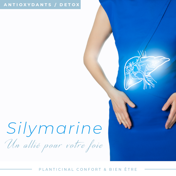 Silymarine 32% Silybines : Santé du foie & Detox