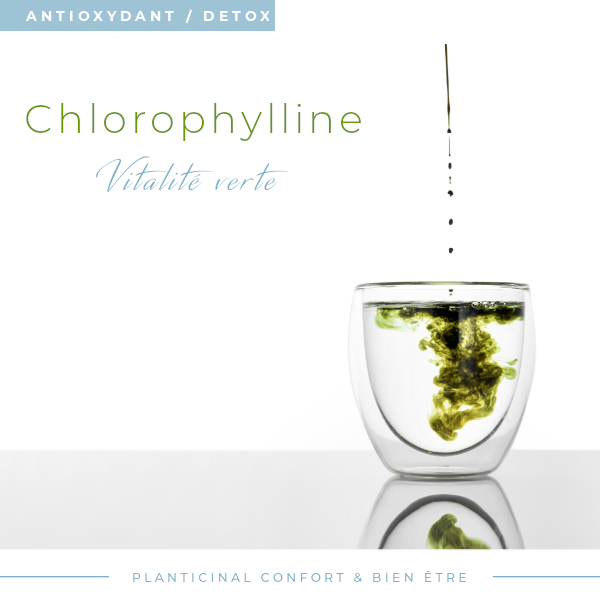 Chlorophylline Naturelle – Soutien Digestif & Détoxification