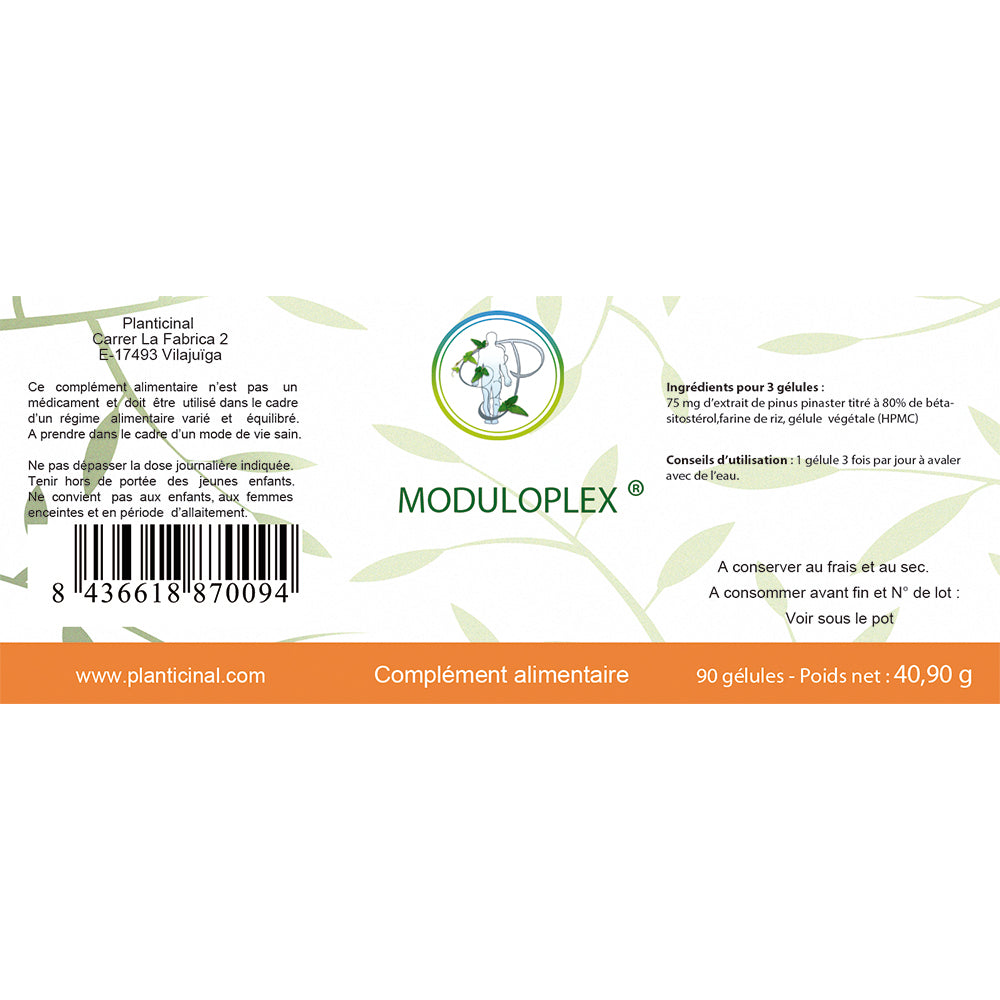 Moduloplex ®