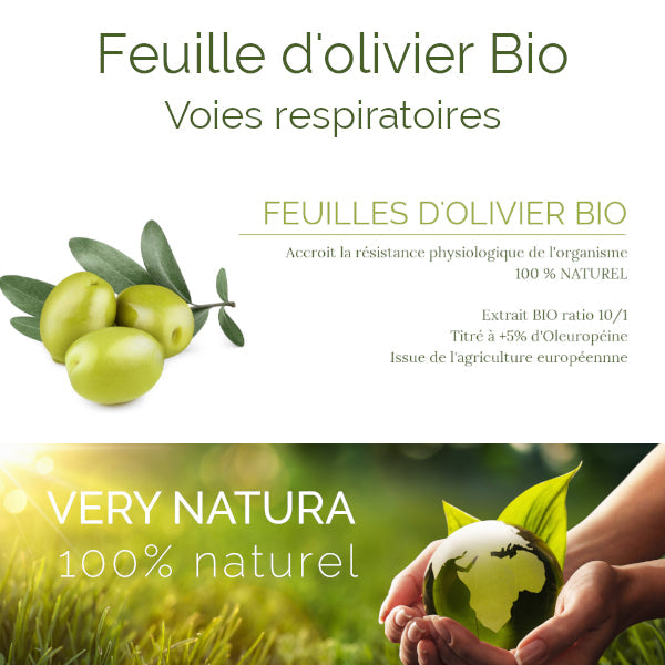 Feuilles d'Olivier Bio 5% Oléuropéine – Votre Allié Naturel pour le Cœur et l'Équilibre Tensionnel