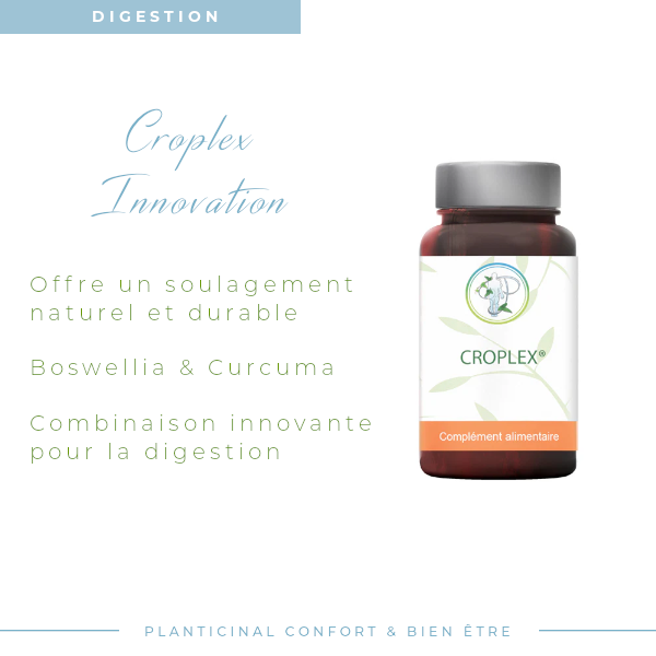 Croplex® – Soutien Naturel du Confort Digestif avec Boswellia et Curcuma