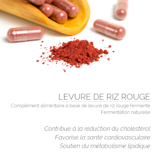 Levure de Riz Rouge Fermenté Sans Statine : Cholestérol