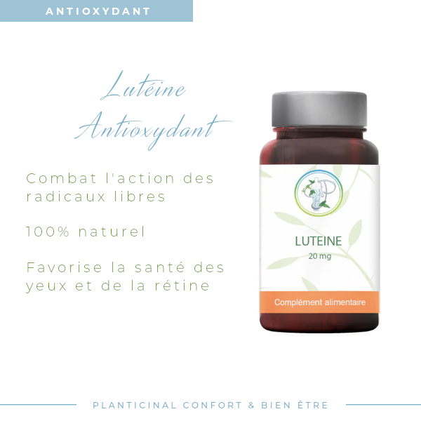 Lutéine Pack Promo x 3