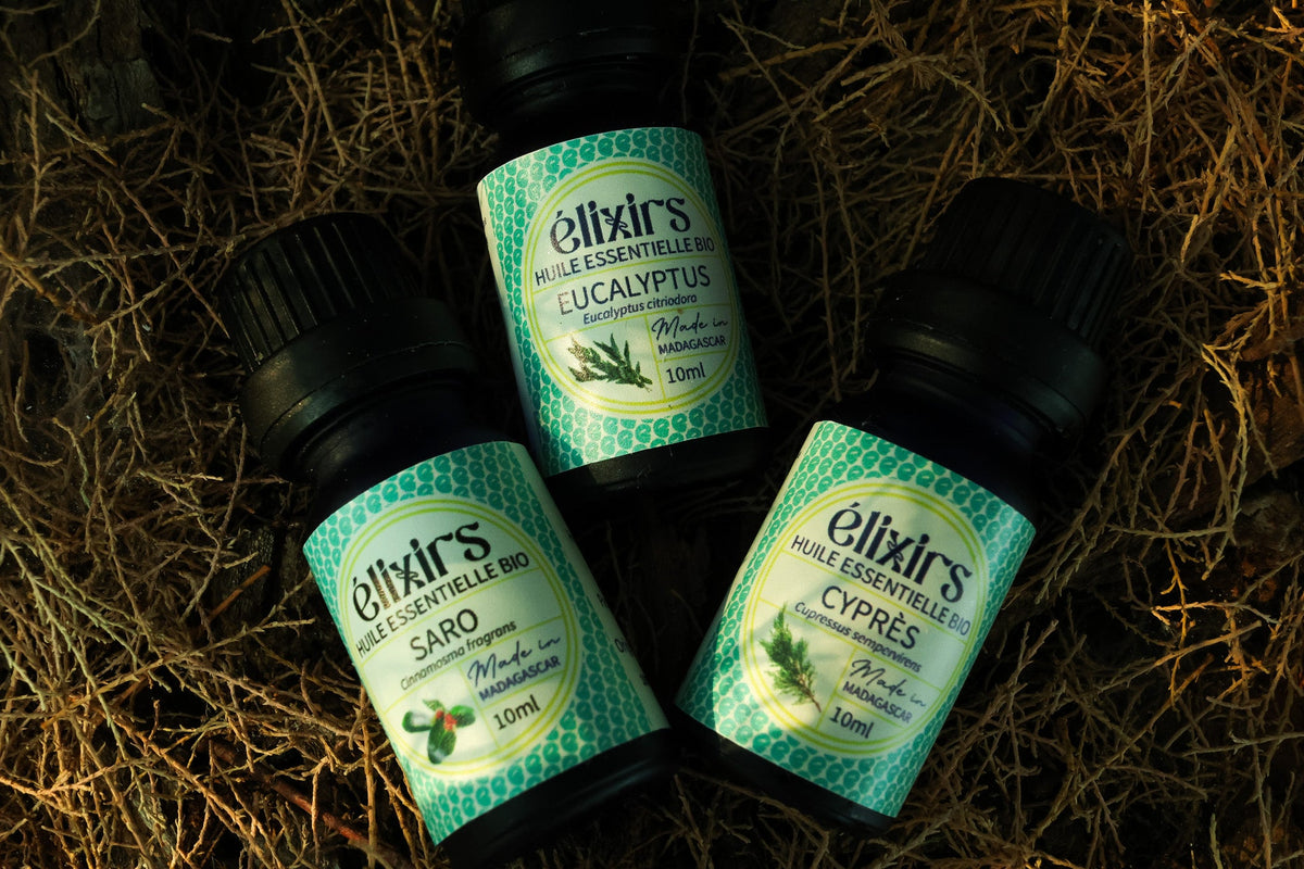 Cyprès | Cupressus sempervirens-ÉLIXIRS de CLARA™️ - Aromathérapie Bio