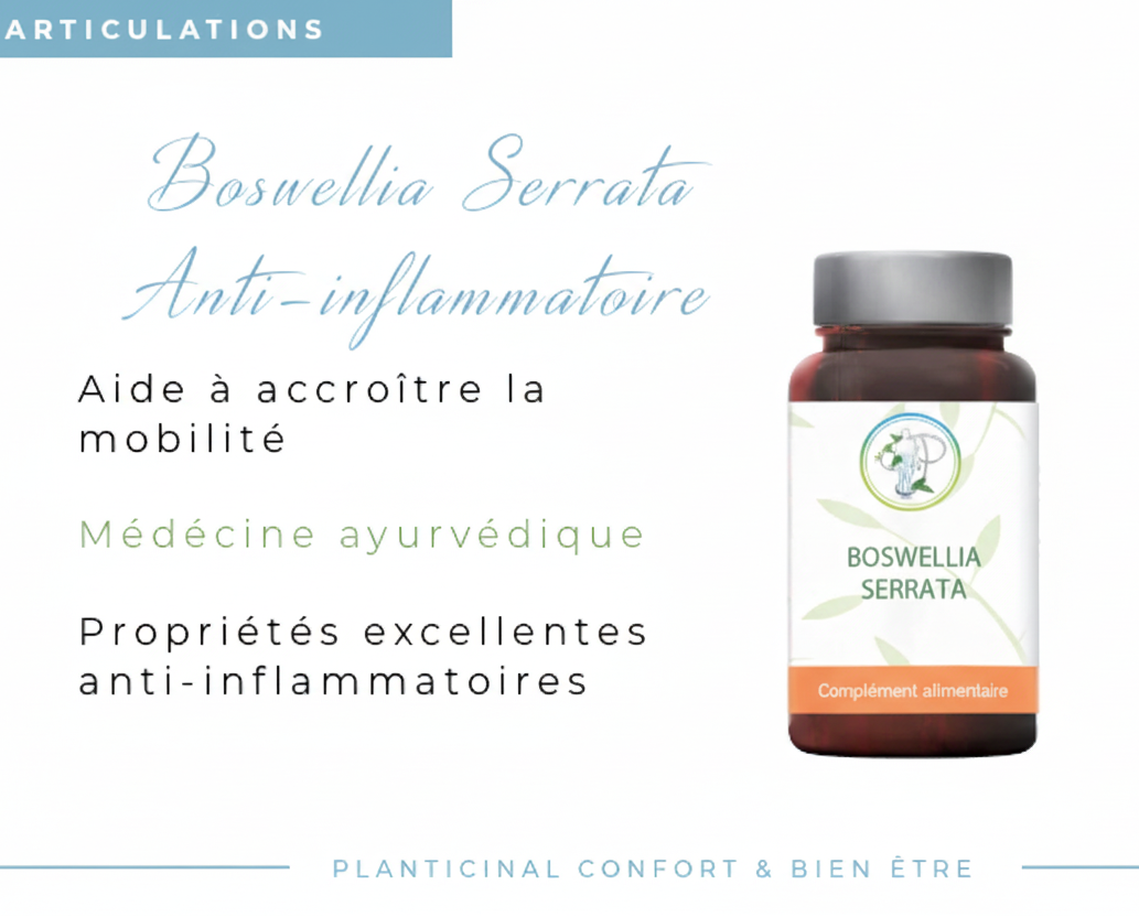 Boswellia Serrata 65 % d'acide boswellique - Pack Promo x 3 (3 mois de cure)