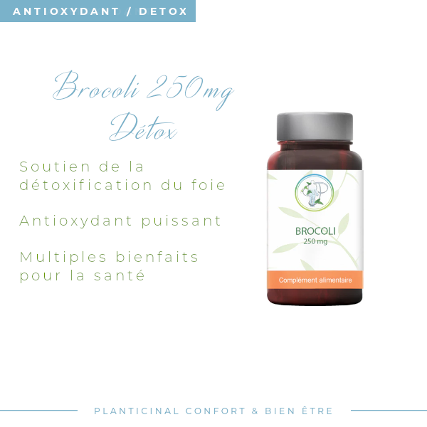 Brocoli à 10% de Glucoraphanine activée Pack Promo x 3